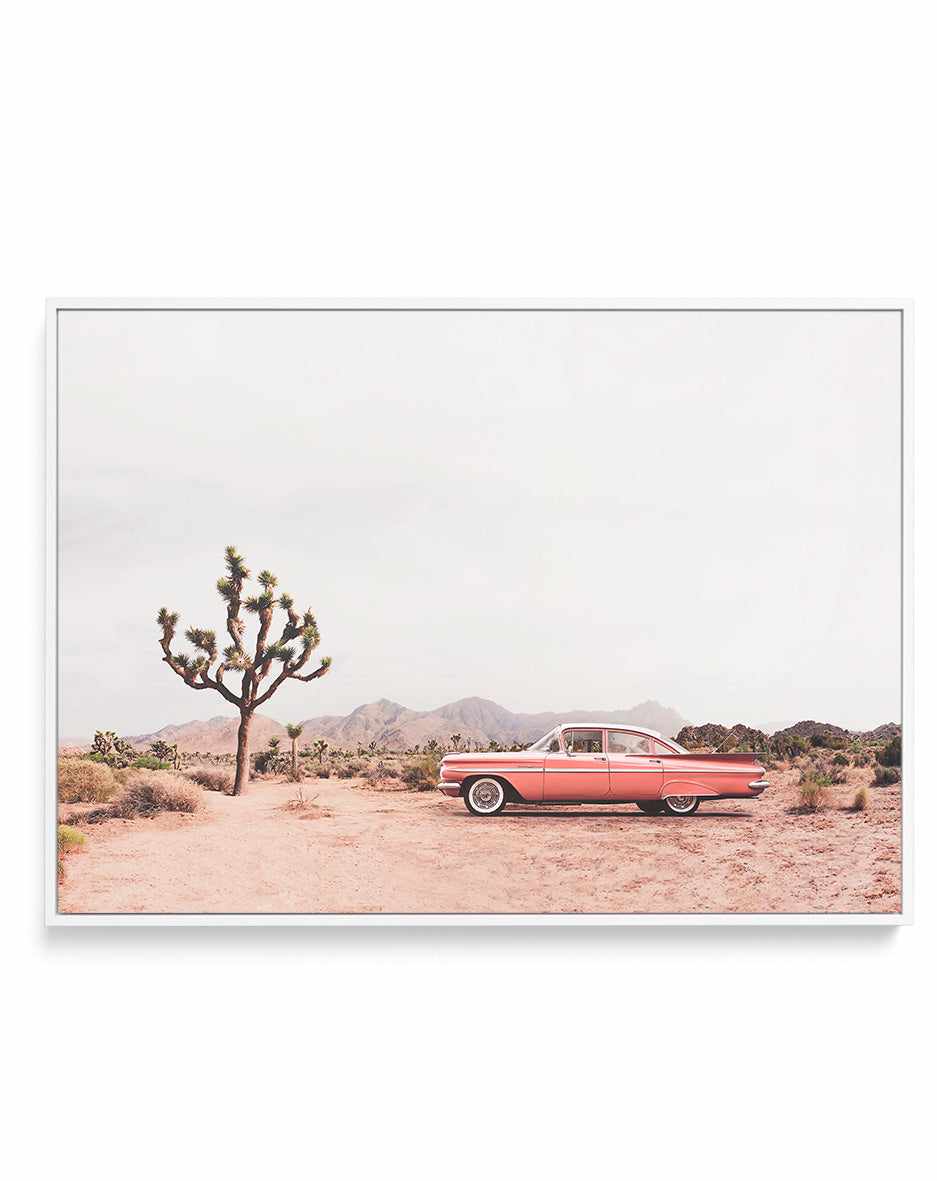 In the desert By Kathrin Pienaar  | Framed Canvas Art Print