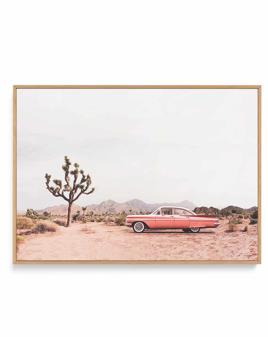 In the desert By Kathrin Pienaar  | Framed Canvas Art Print