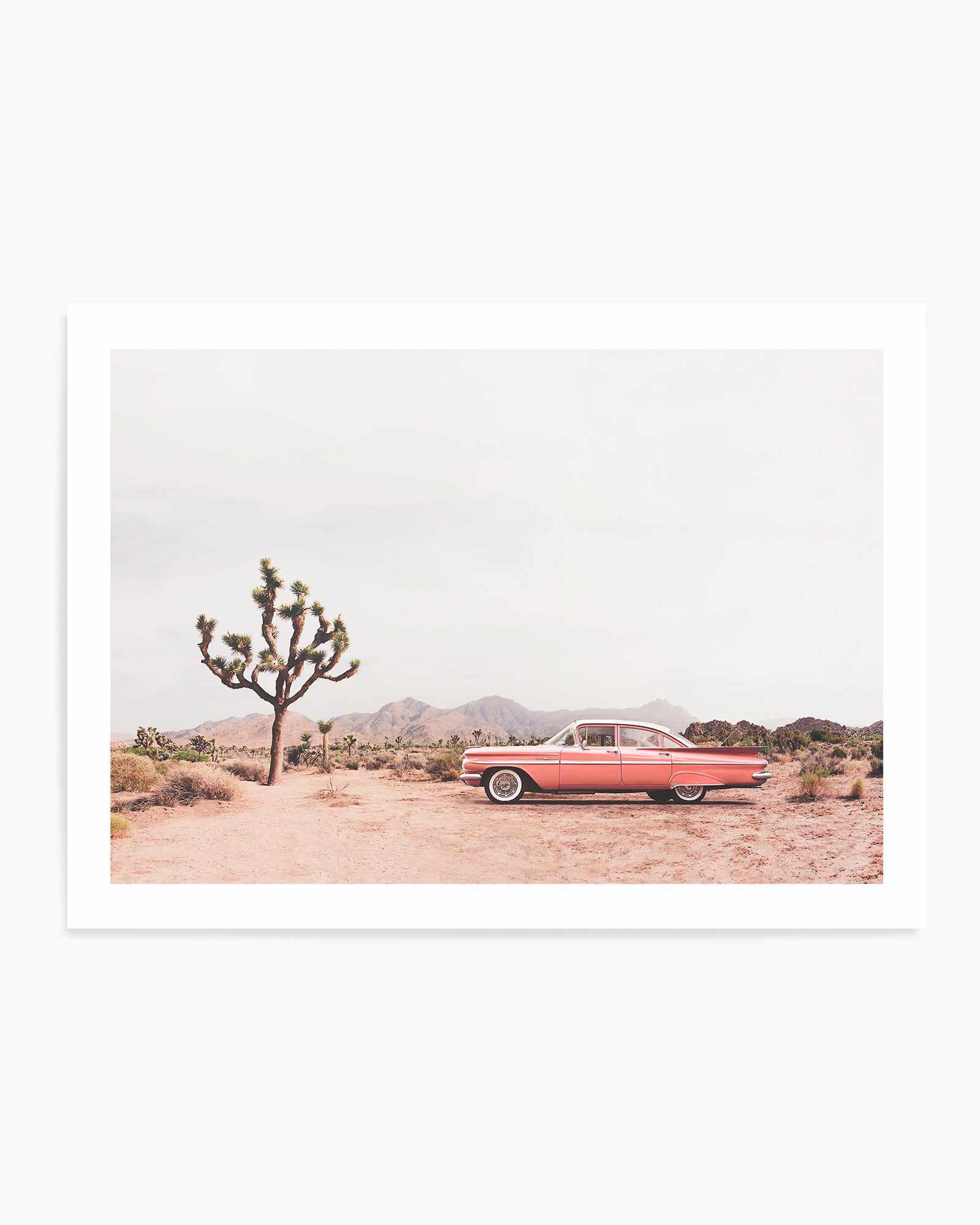 In the desert By Kathrin Pienaar  | Art Print