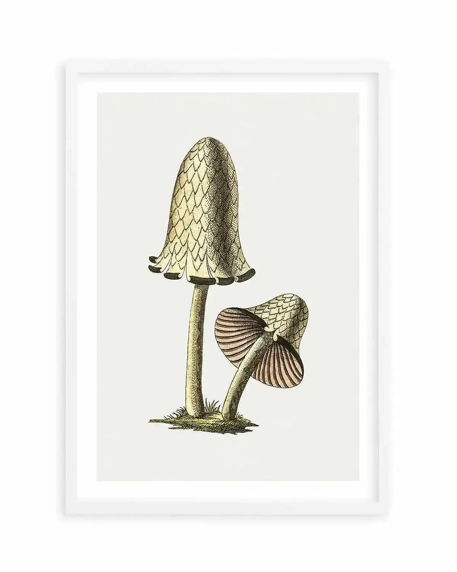 Inky Cap Edible Mushroom Vintage Illustration Art Print from Olive et Oriel where you can shop wallpaper and artworks online