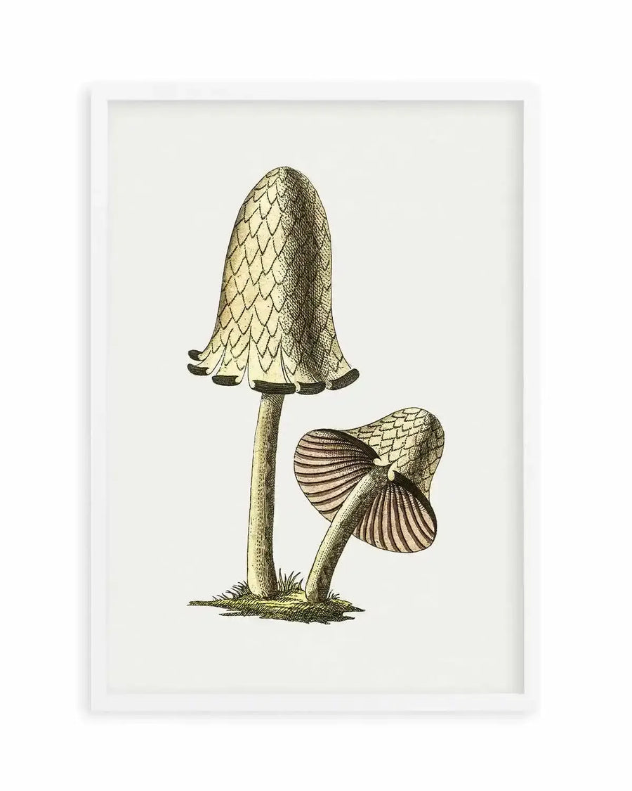Inky Cap Edible Mushroom Vintage Illustration Art Print from Olive et Oriel where you can shop wallpaper and artworks online