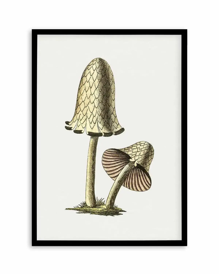Inky Cap Edible Mushroom Vintage Illustration Art Print from Olive et Oriel where you can shop wallpaper and artworks online