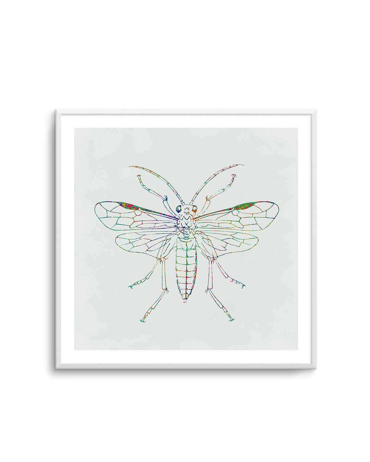 Insect Line Art Print