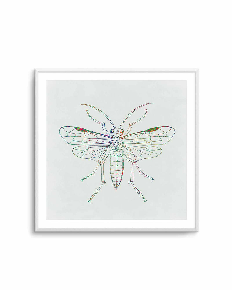 Insect Line Art Print