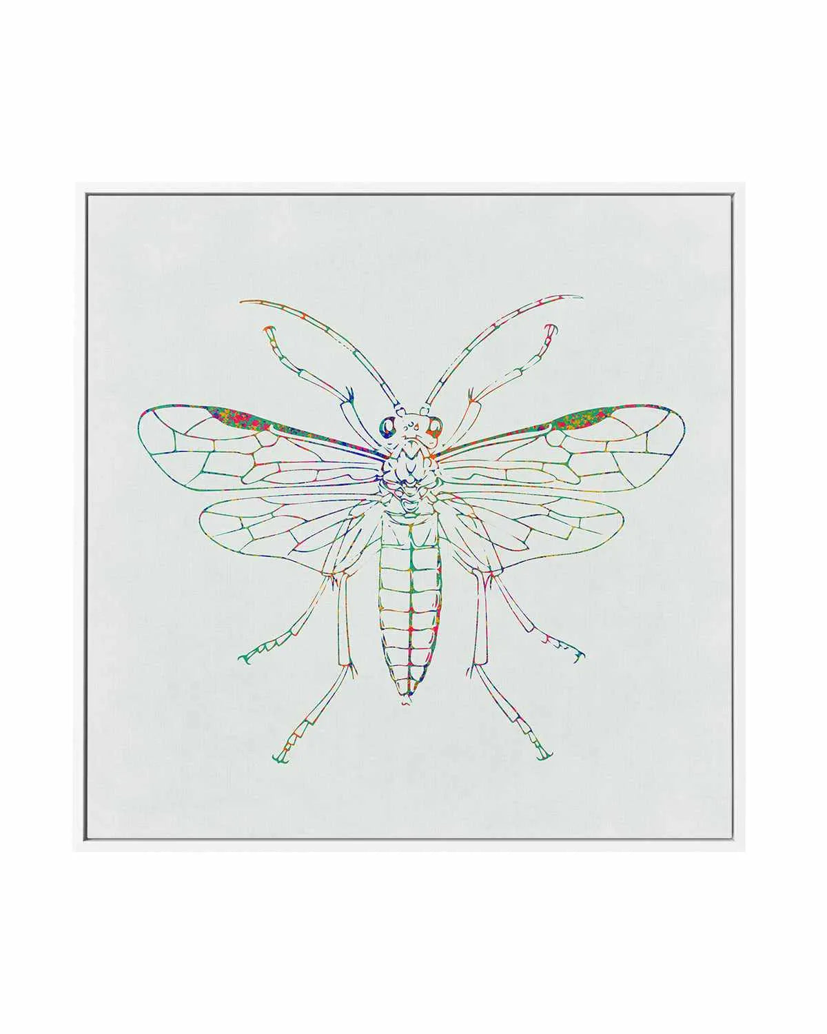 Insect Line | Framed Canvas Art Print from Olive et Oriel where you can shop wallpaper and artworks online