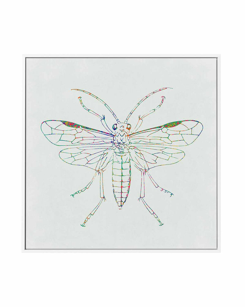 Insect Line | Framed Canvas Art Print