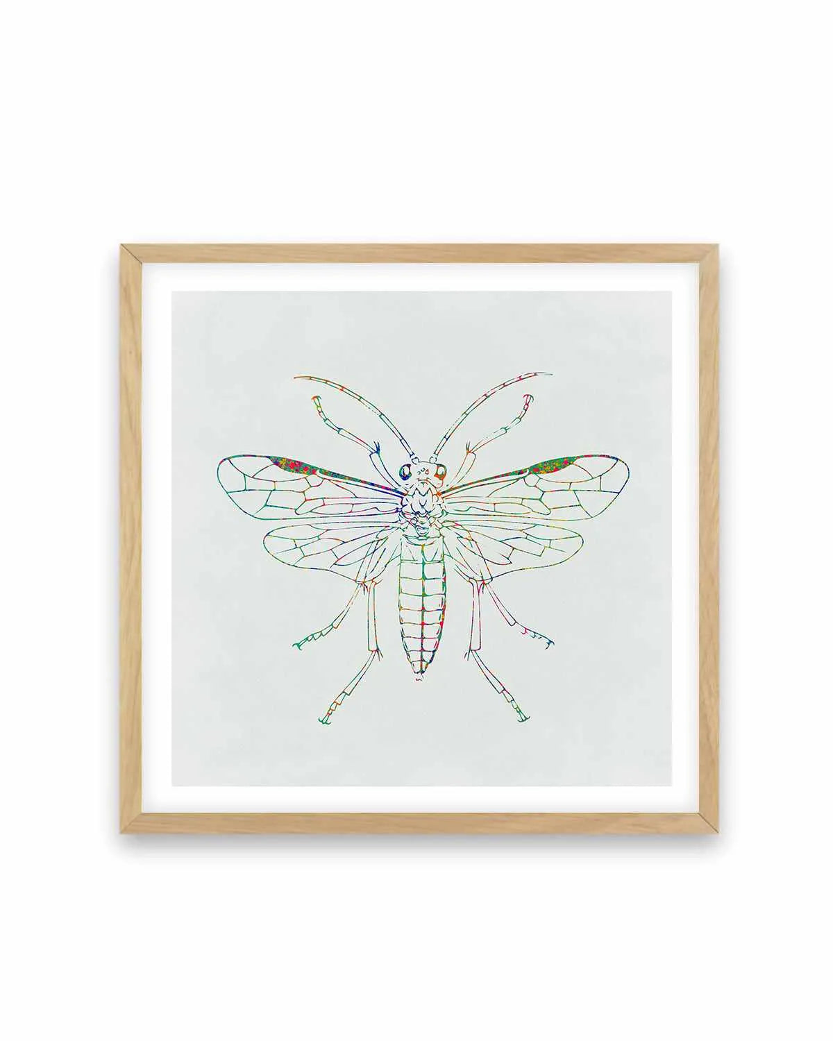 Insect Line Art Print from Olive et Oriel where you can shop wallpaper and artworks online