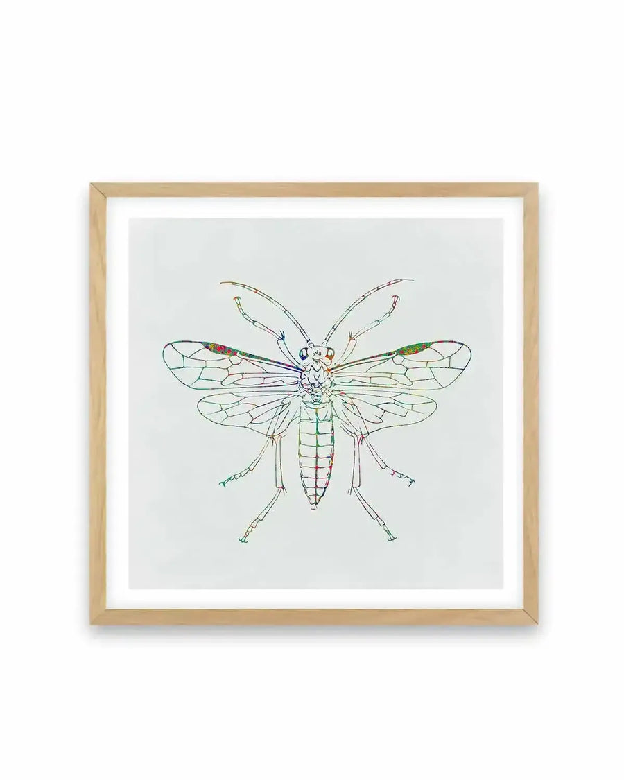 Insect Line Art Print from Olive et Oriel where you can shop wallpaper and artworks online