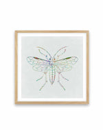 Insect Line Art Print