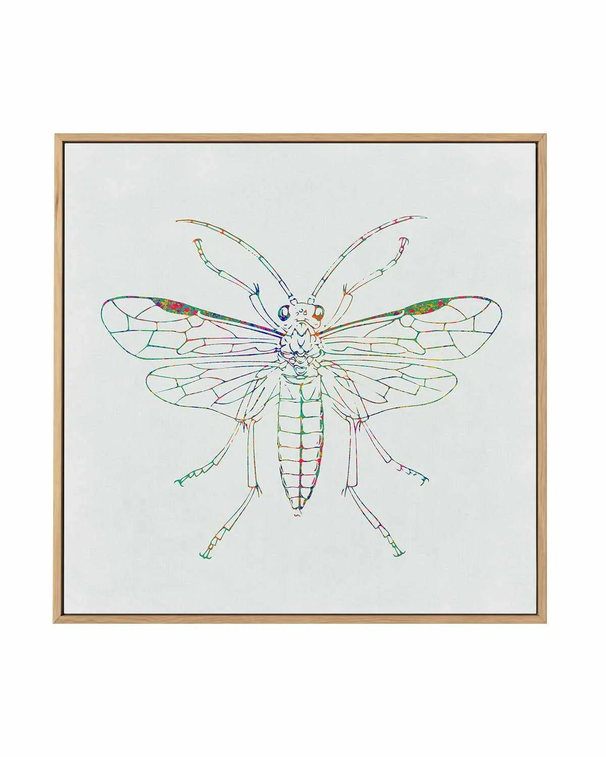 Insect Line | Framed Canvas Art Print from Olive et Oriel where you can shop wallpaper and artworks online
