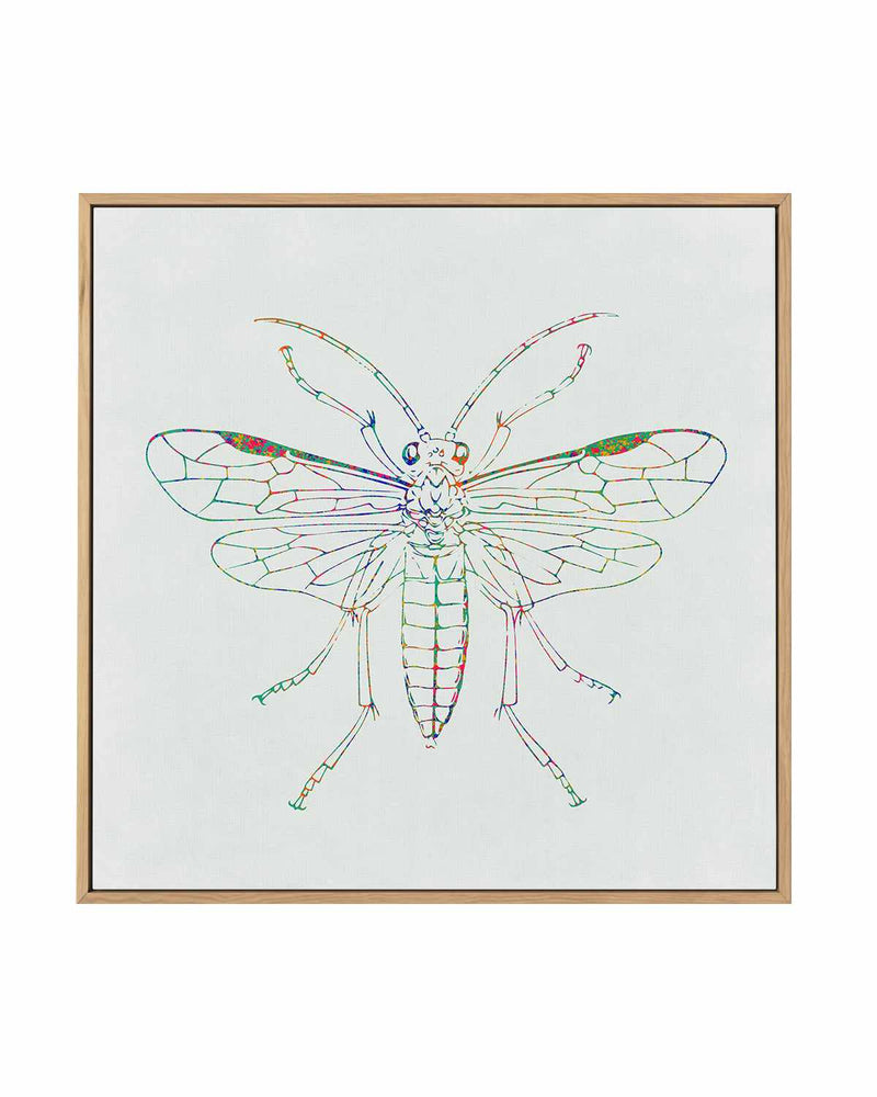 Insect Line | Framed Canvas Art Print