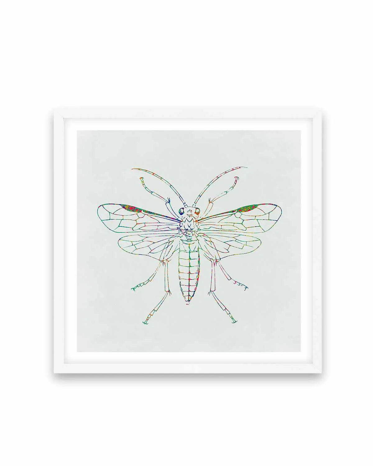 Insect Line Art Print from Olive et Oriel where you can shop wallpaper and artworks online