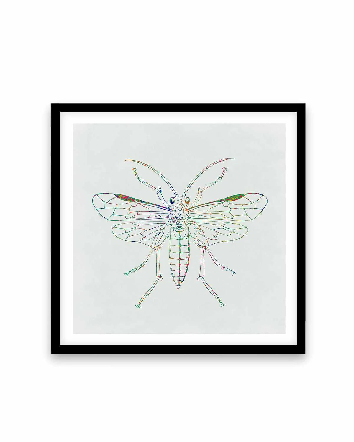 Insect Line Art Print from Olive et Oriel where you can shop wallpaper and artworks online