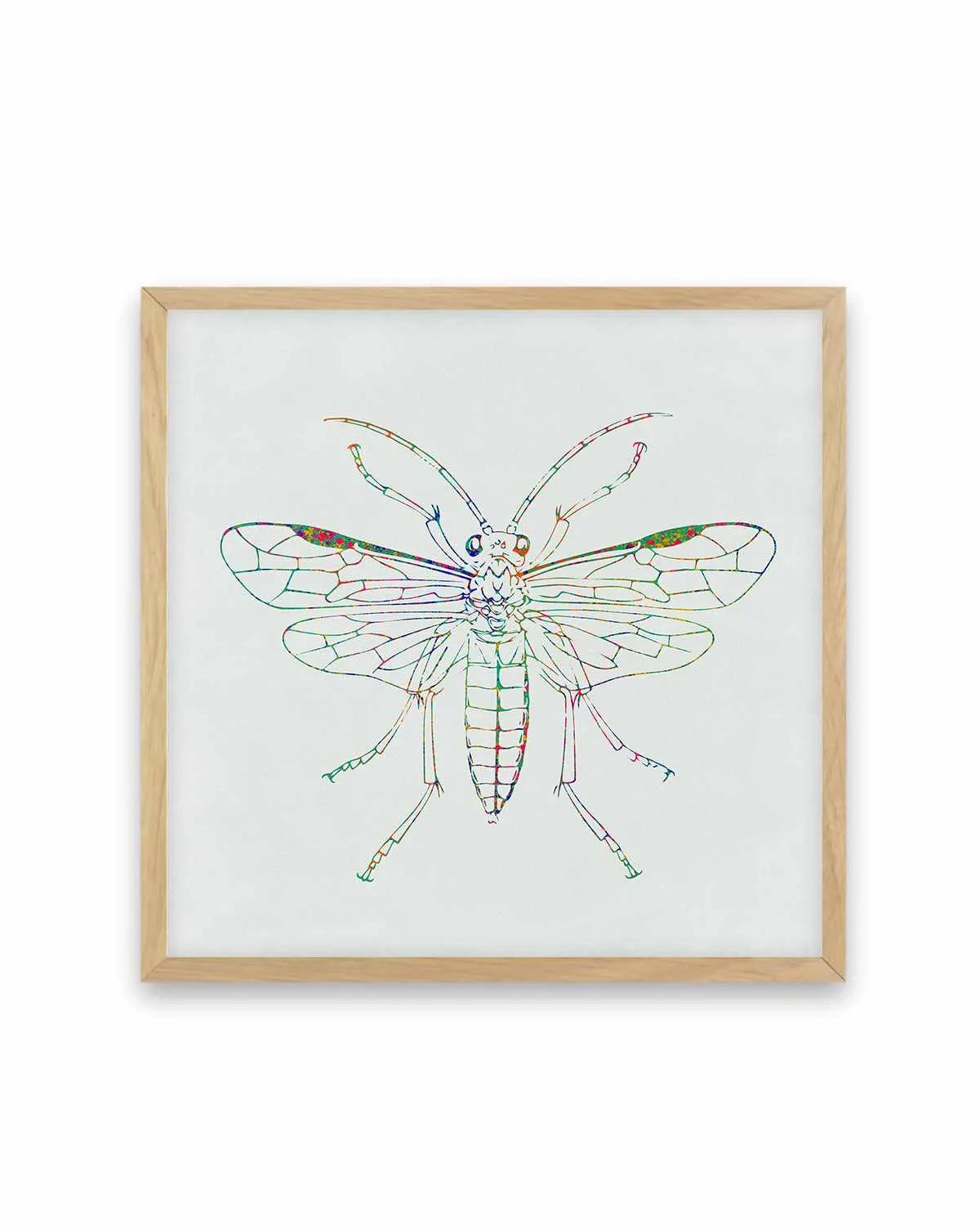 Insect Line Art Print from Olive et Oriel where you can shop wallpaper and artworks online