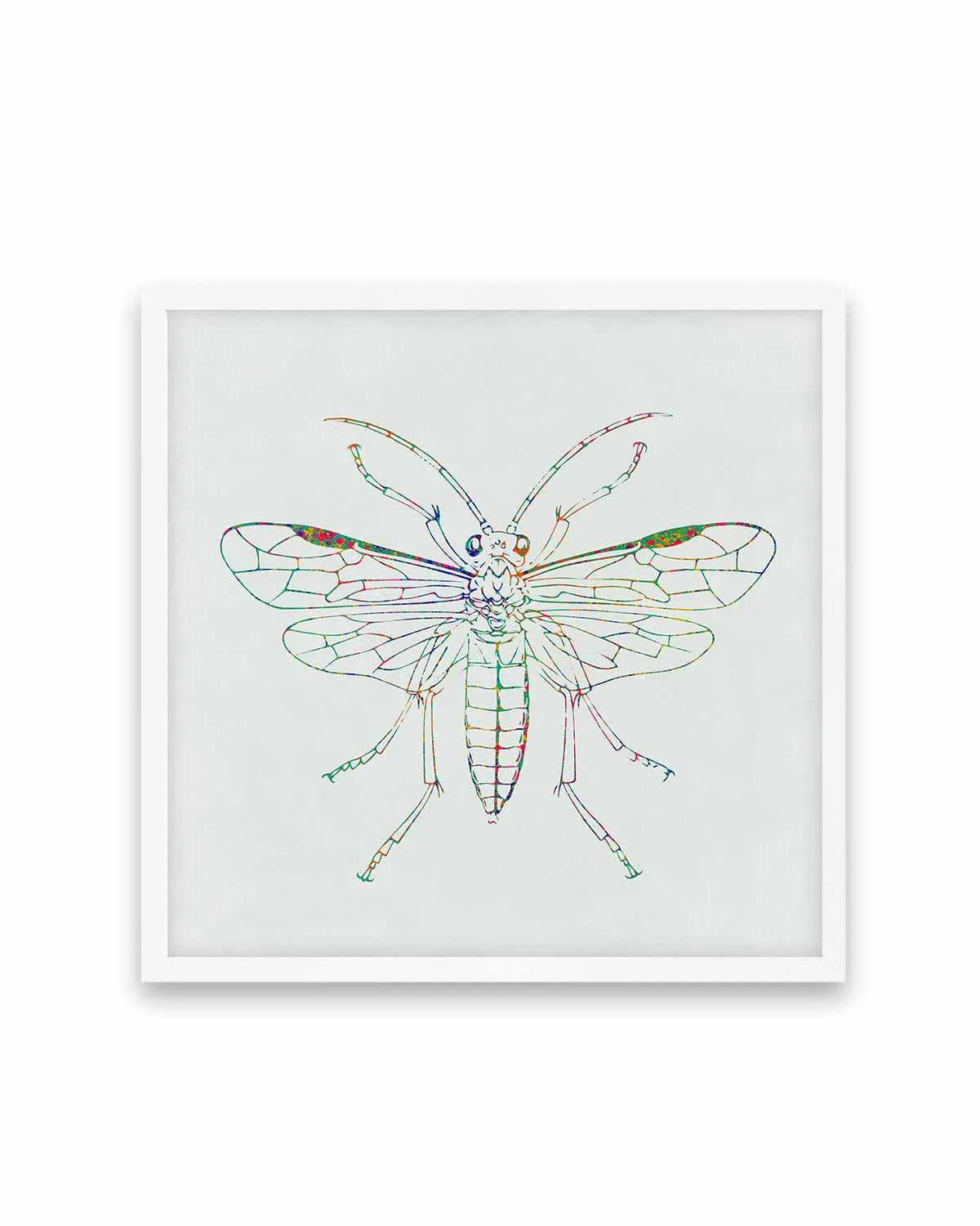 Insect Line Art Print from Olive et Oriel where you can shop wallpaper and artworks online