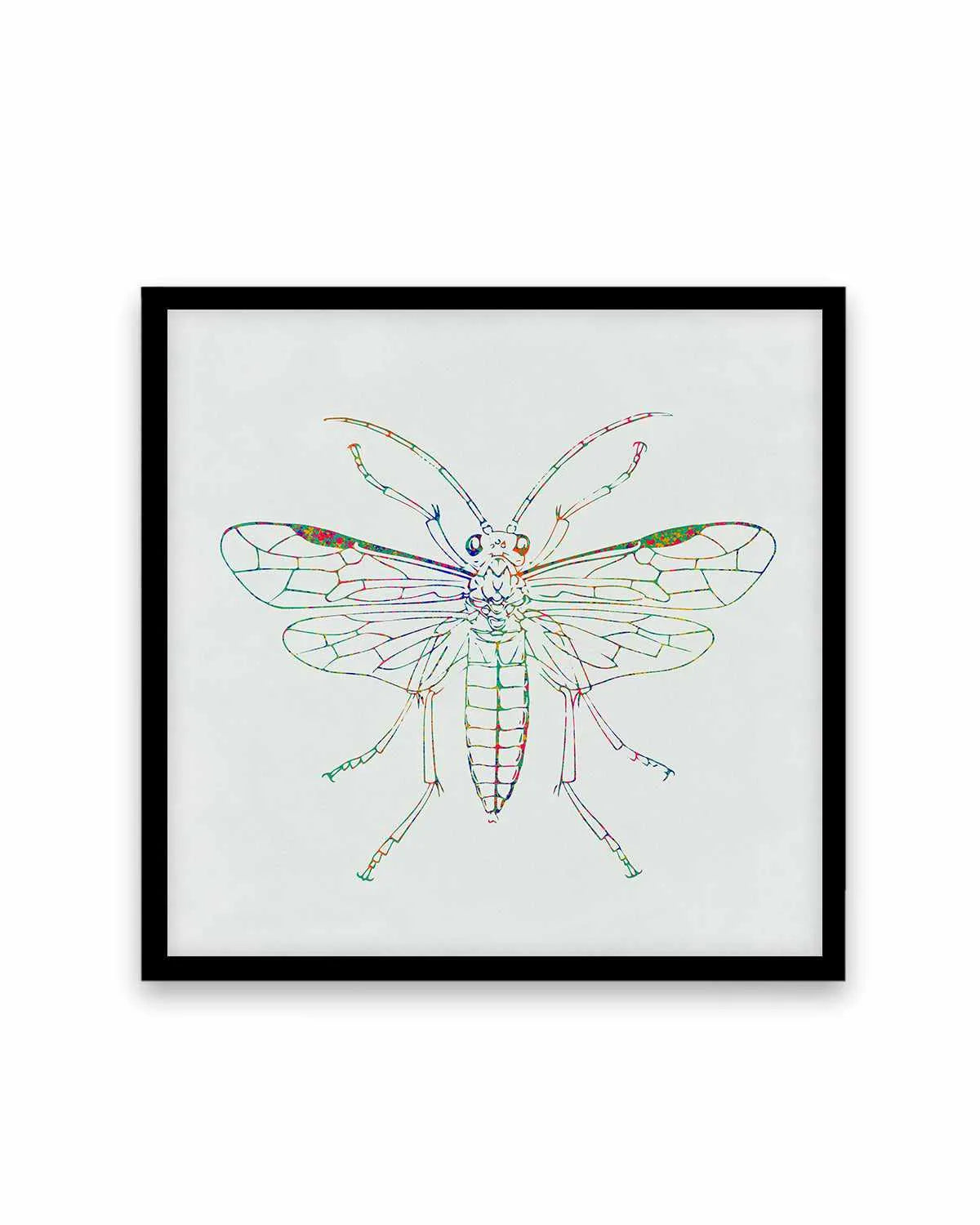 Insect Line Art Print from Olive et Oriel where you can shop wallpaper and artworks online