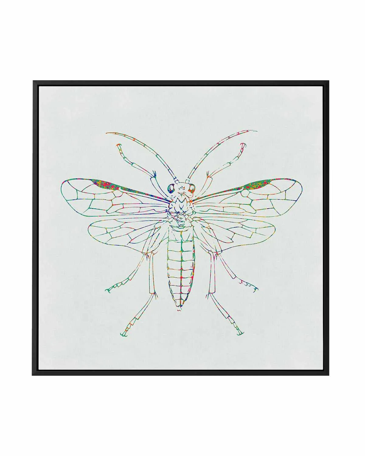 Insect Line | Framed Canvas Art Print from Olive et Oriel where you can shop wallpaper and artworks online