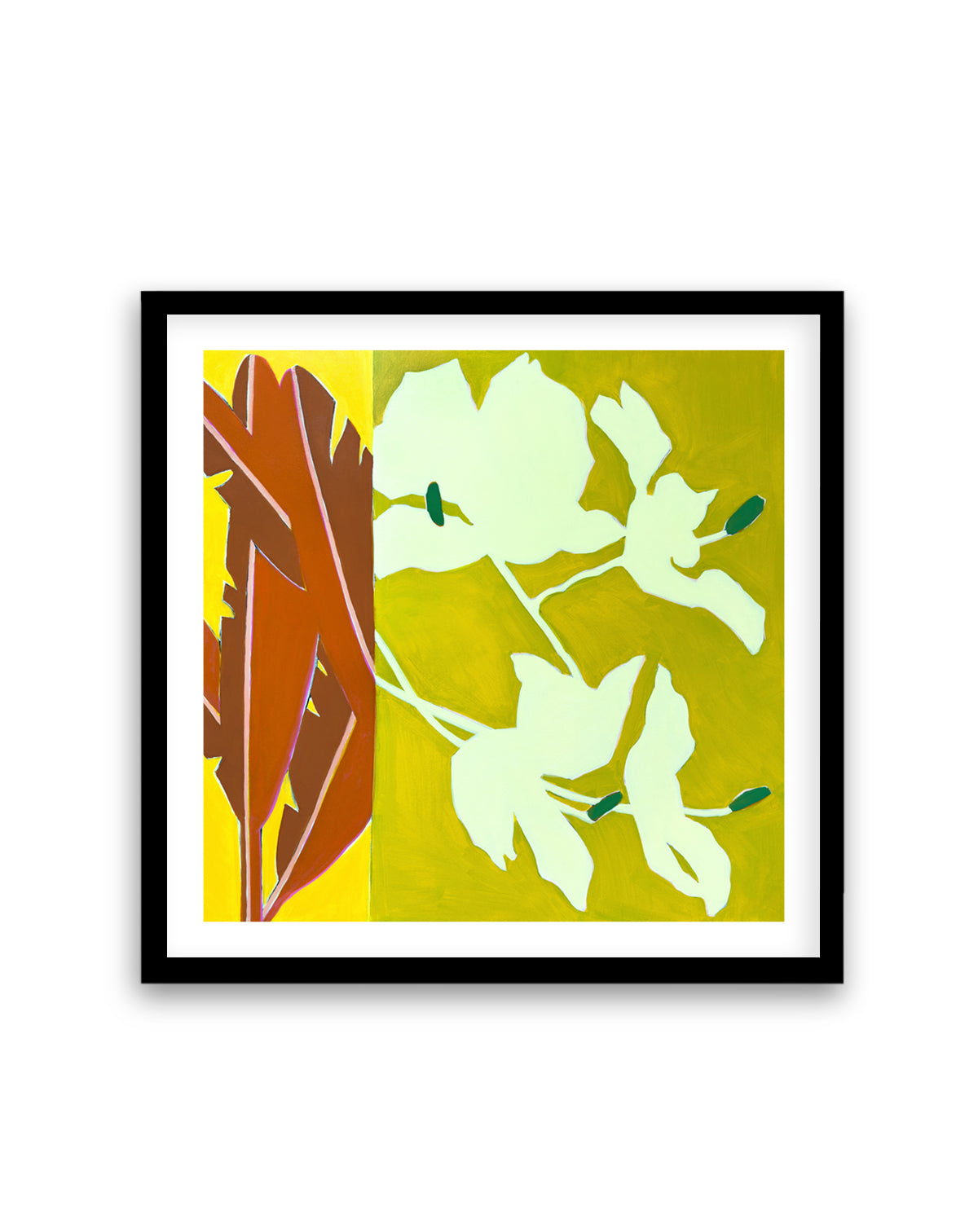 Island Ginger | Art Print