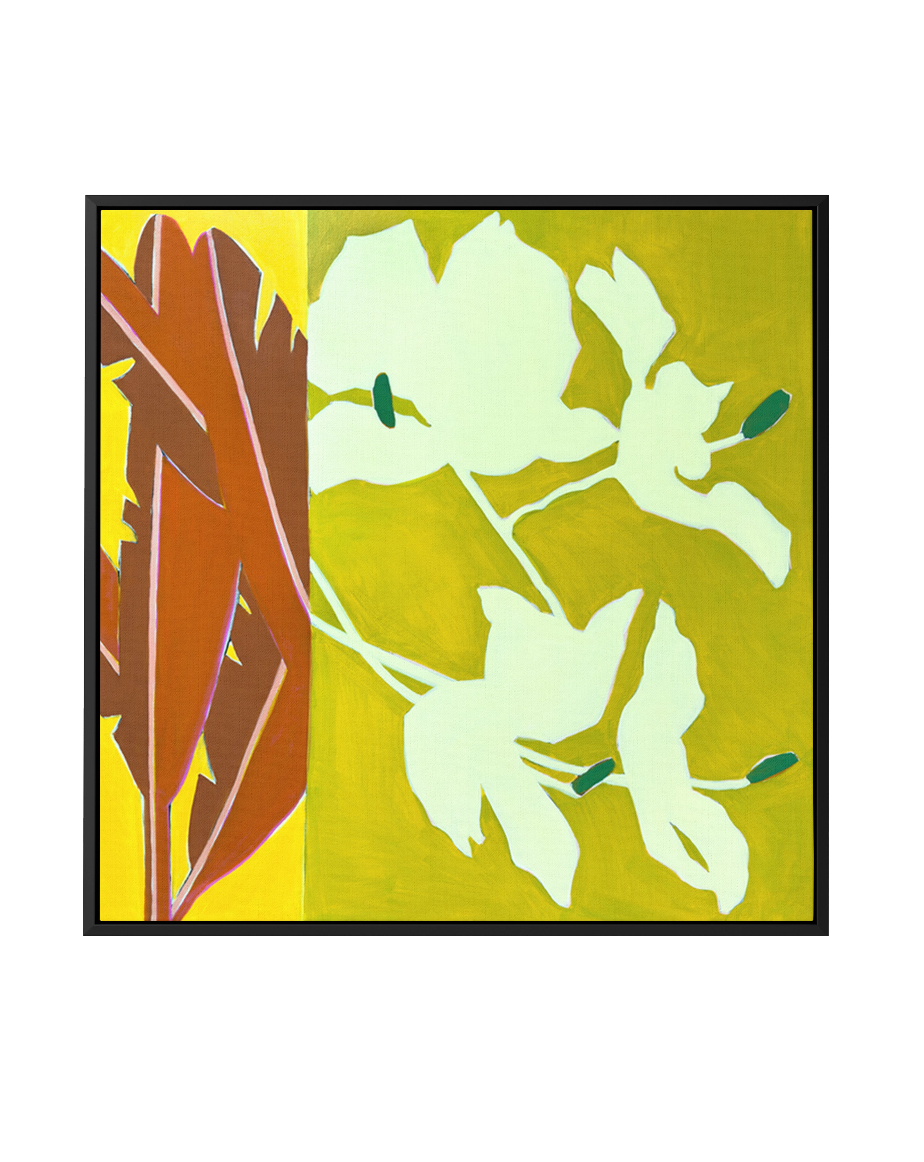 Island Ginger | Framed Canvas Art Print