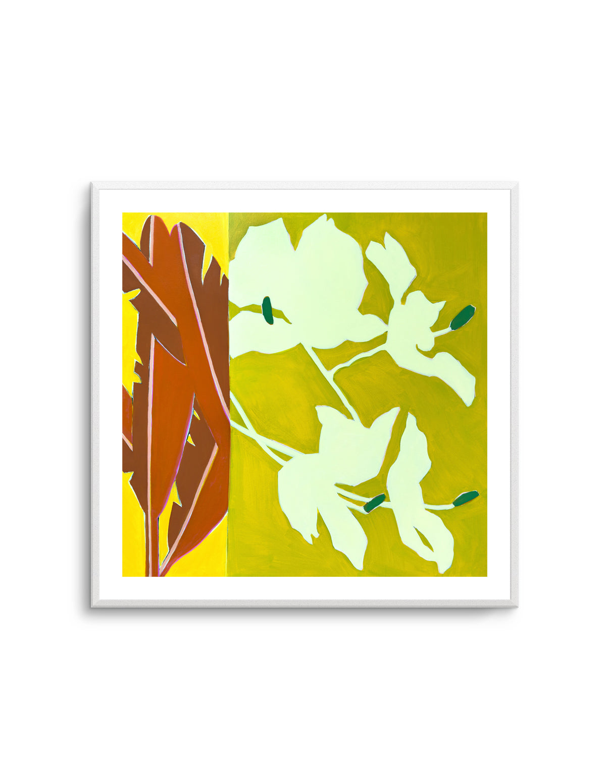 Island Ginger | Art Print
