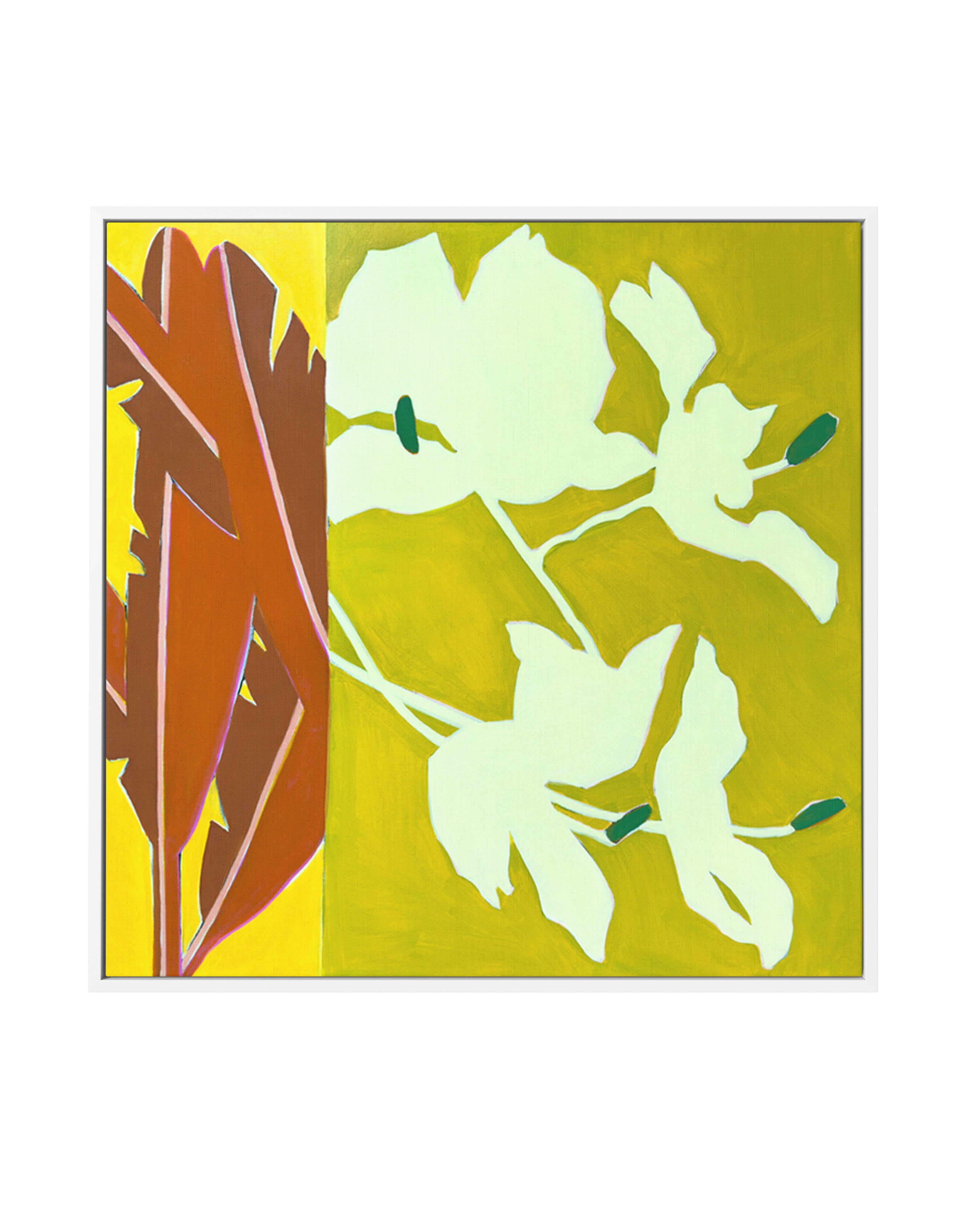 Island Ginger | Framed Canvas Art Print