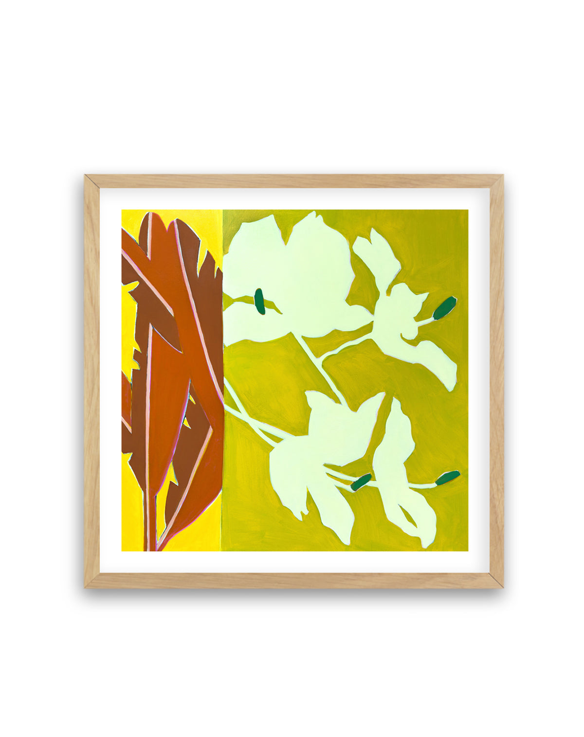Island Ginger | Art Print