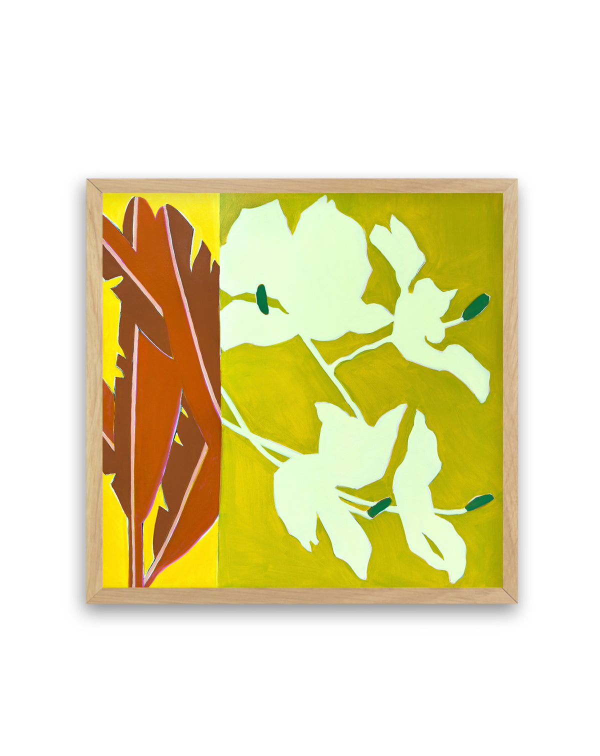 Island Ginger | Art Print