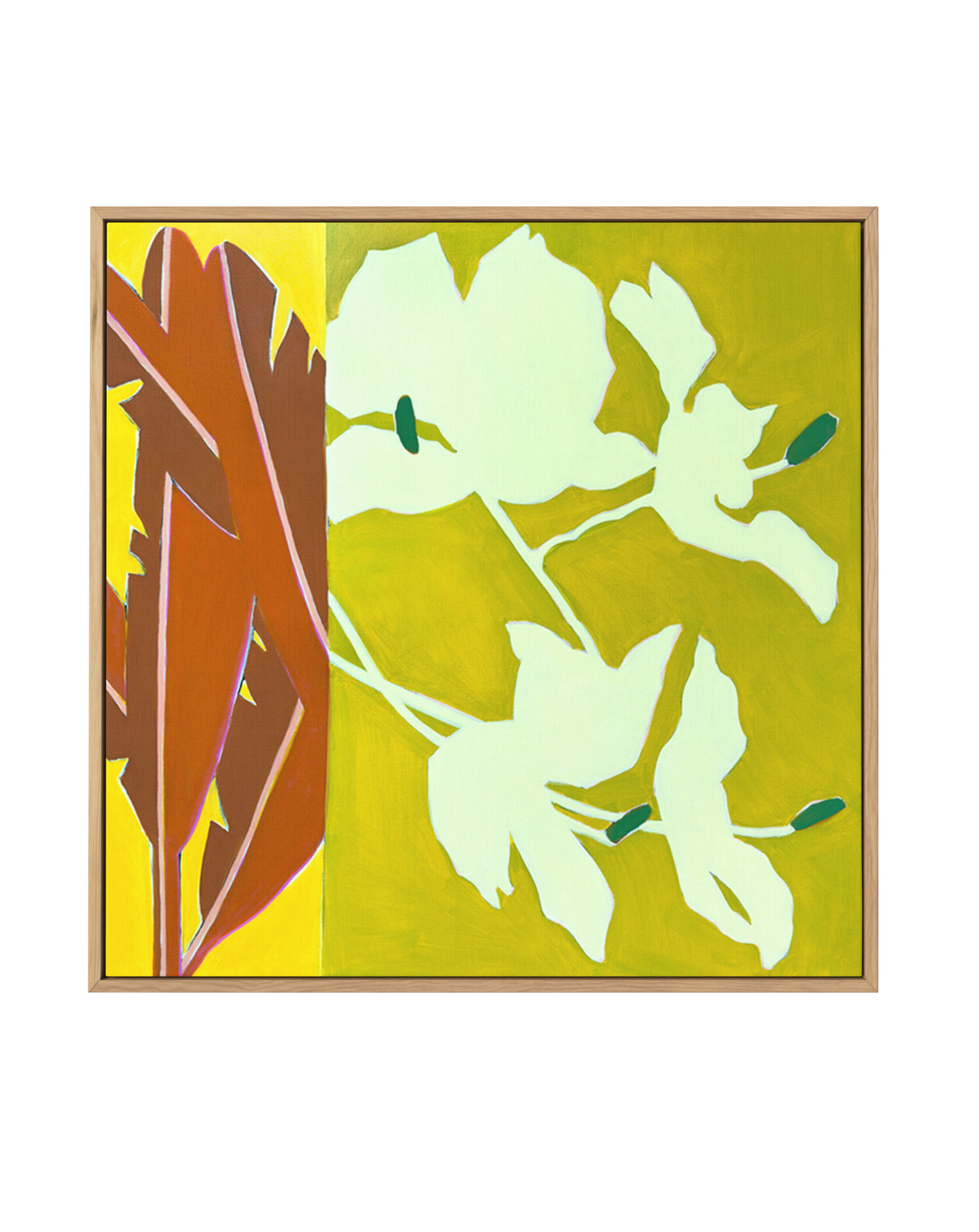 Island Ginger | Framed Canvas Art Print