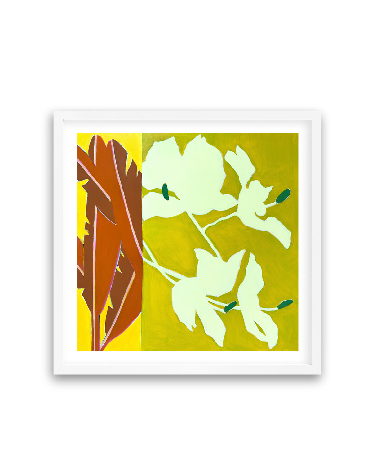 Island Ginger | Art Print