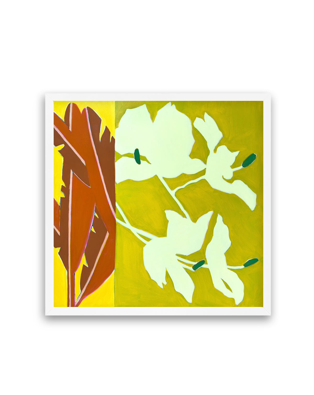 Island Ginger | Art Print