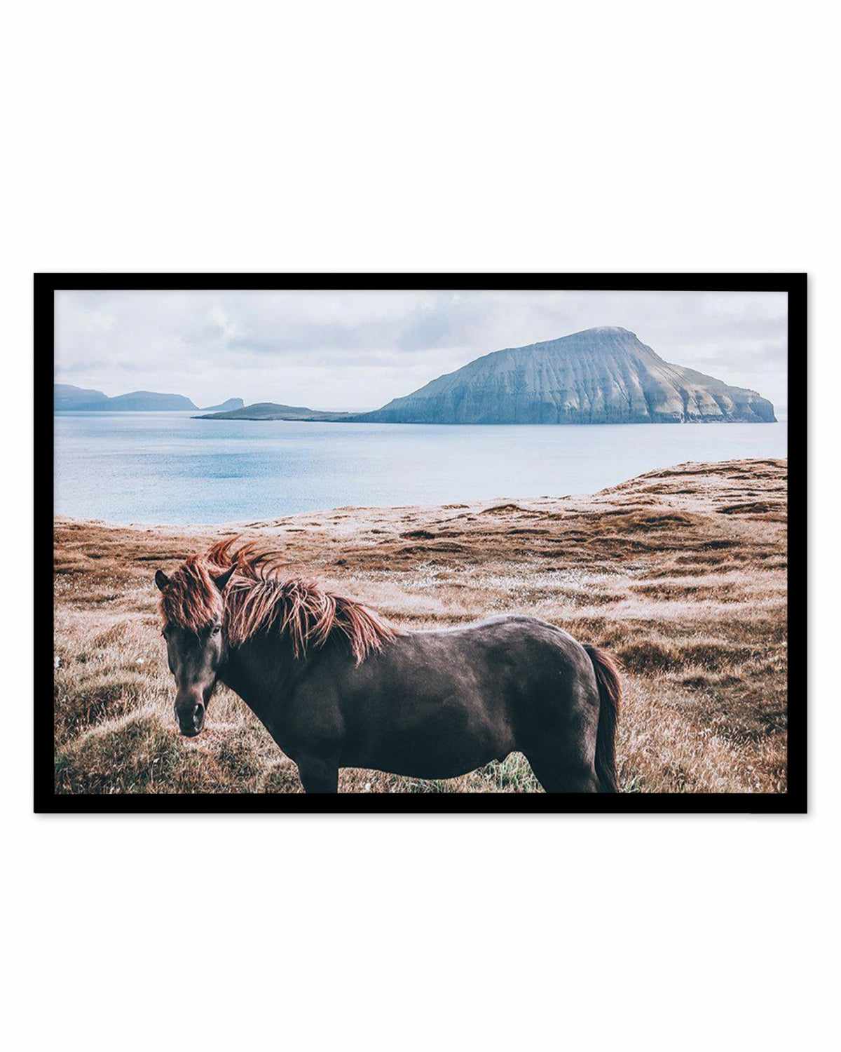 Island Horse Art Print