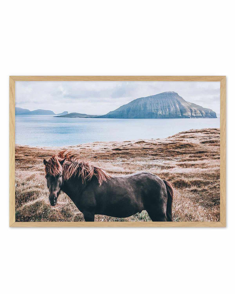 Island Horse Art Print