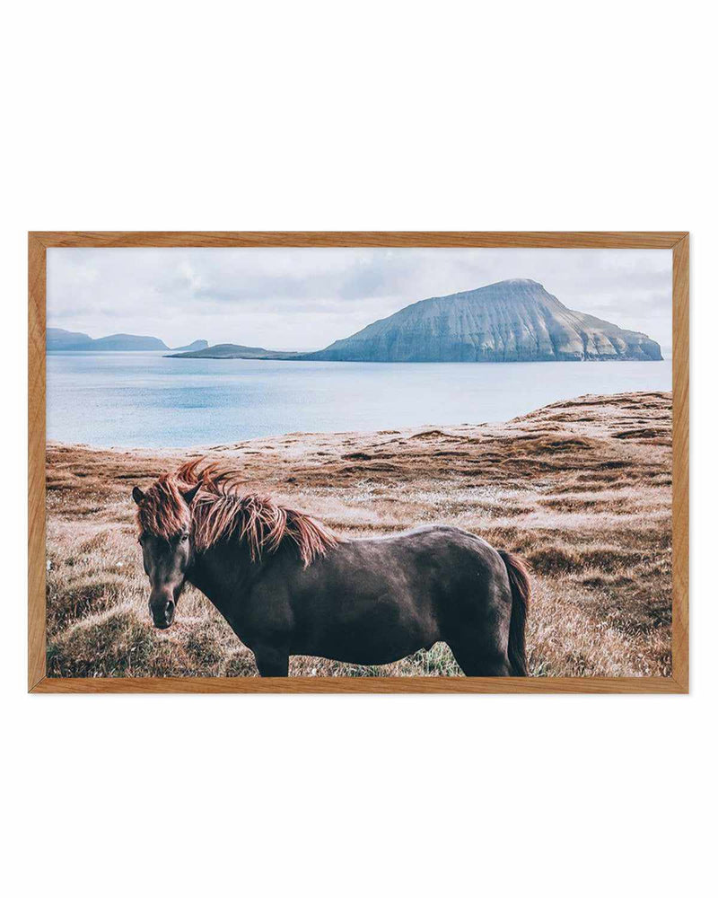 Island Horse Art Print