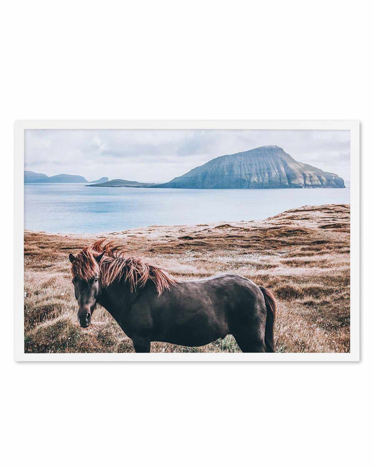 Island Horse Art Print