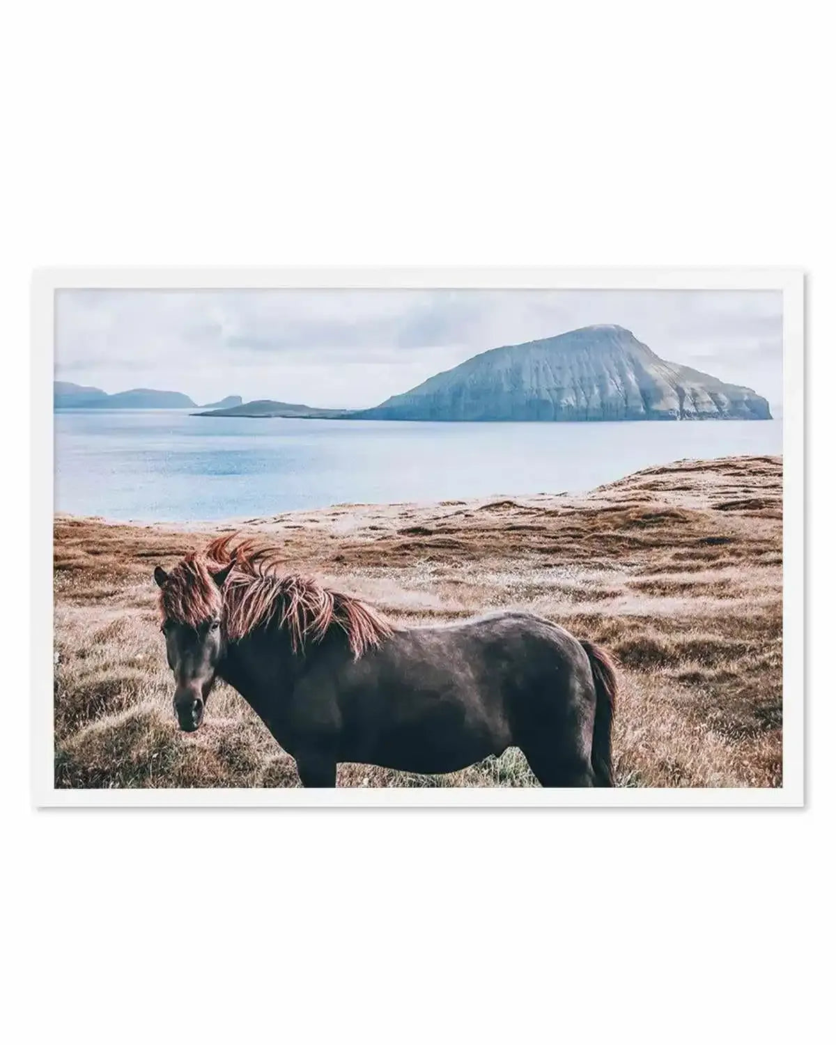 Island Horse Art Print from Olive et Oriel where you can shop wallpaper and artworks online