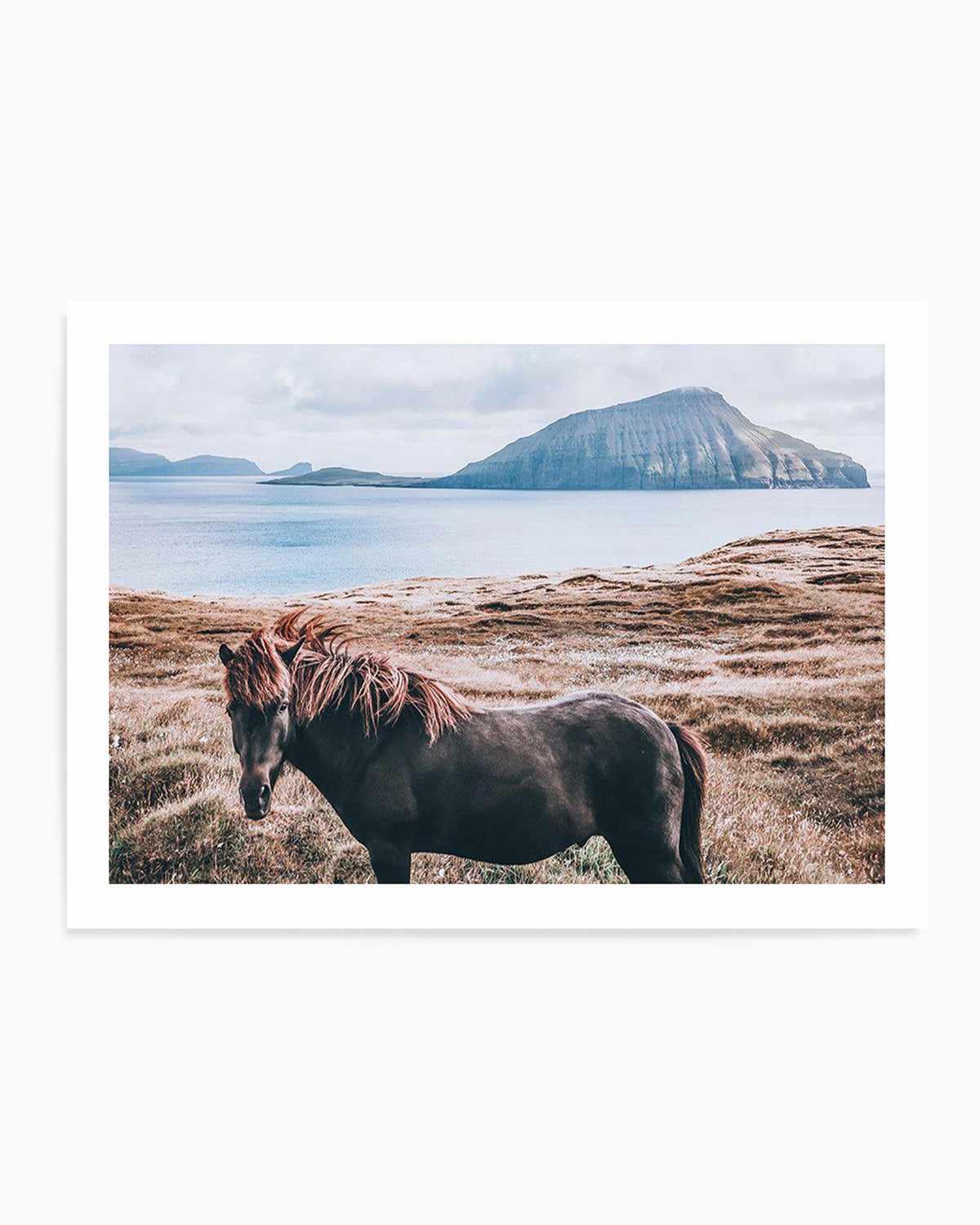 Island Horse Art Print