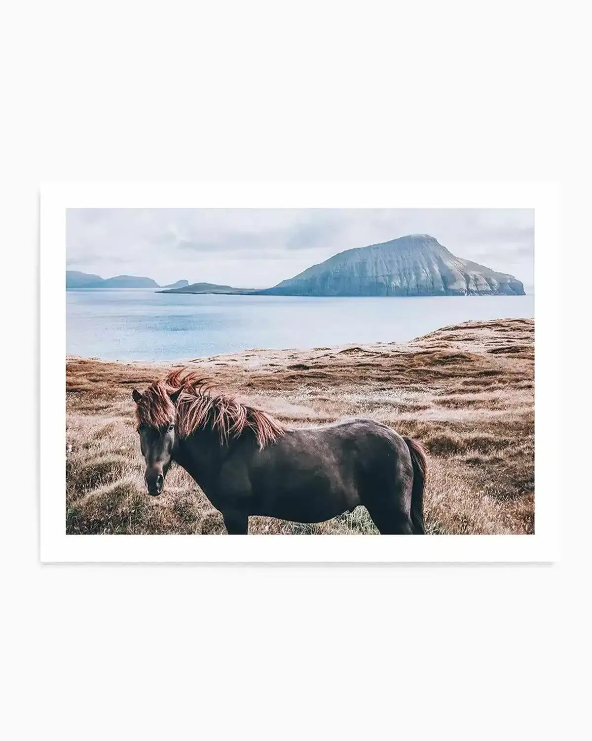 Island Horse Art Print from Olive et Oriel where you can shop wallpaper and artworks online