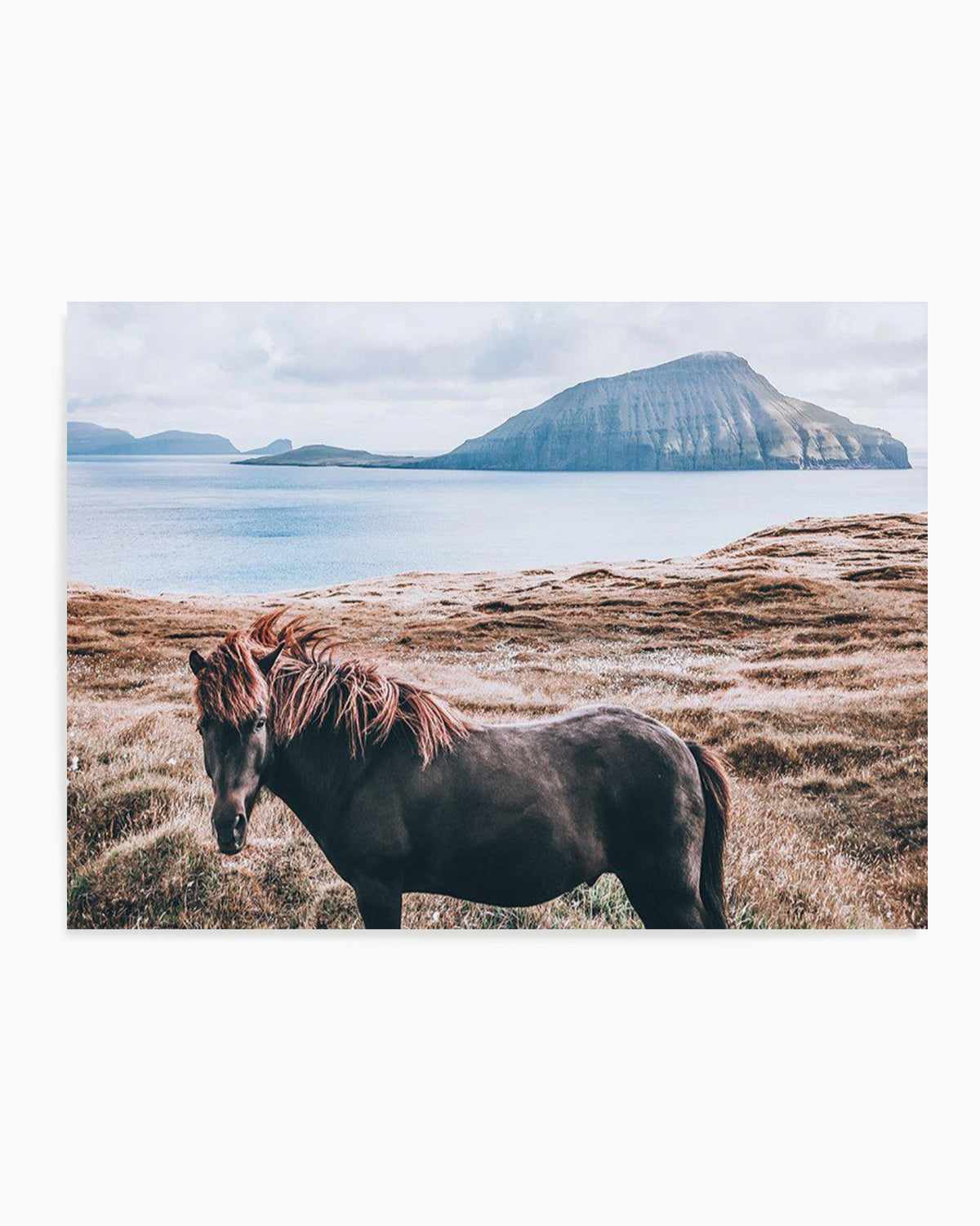 Island Horse Art Print