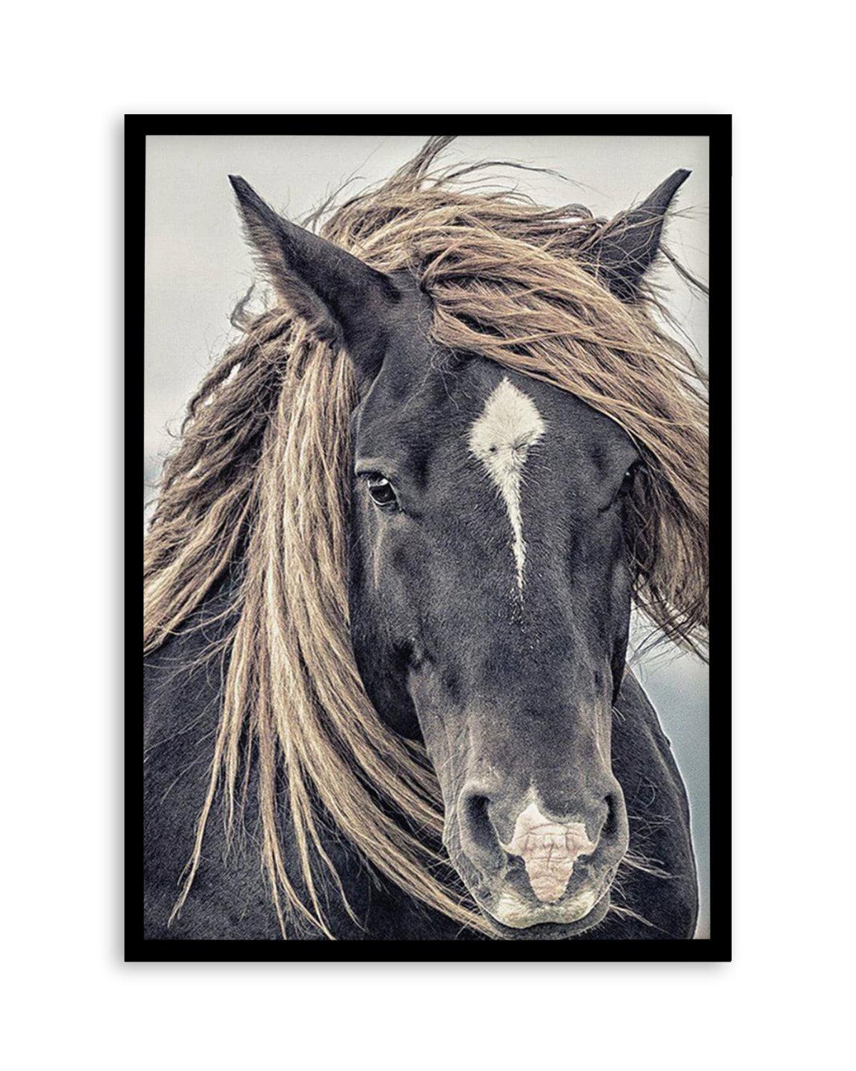 Island Horse II Art Print