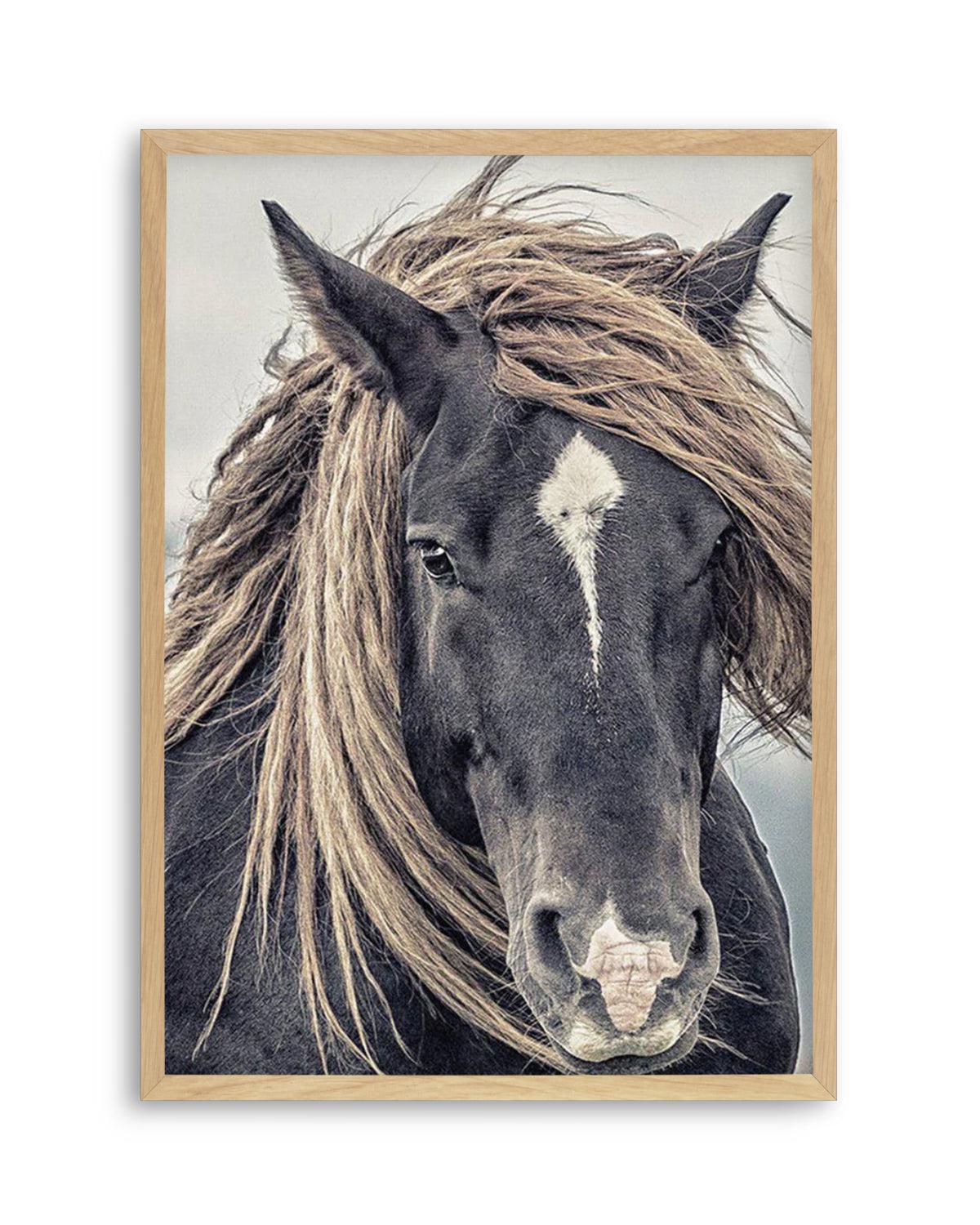 Island Horse II Art Print