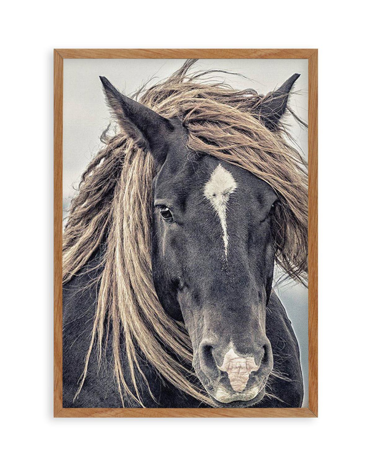 Island Horse II Art Print