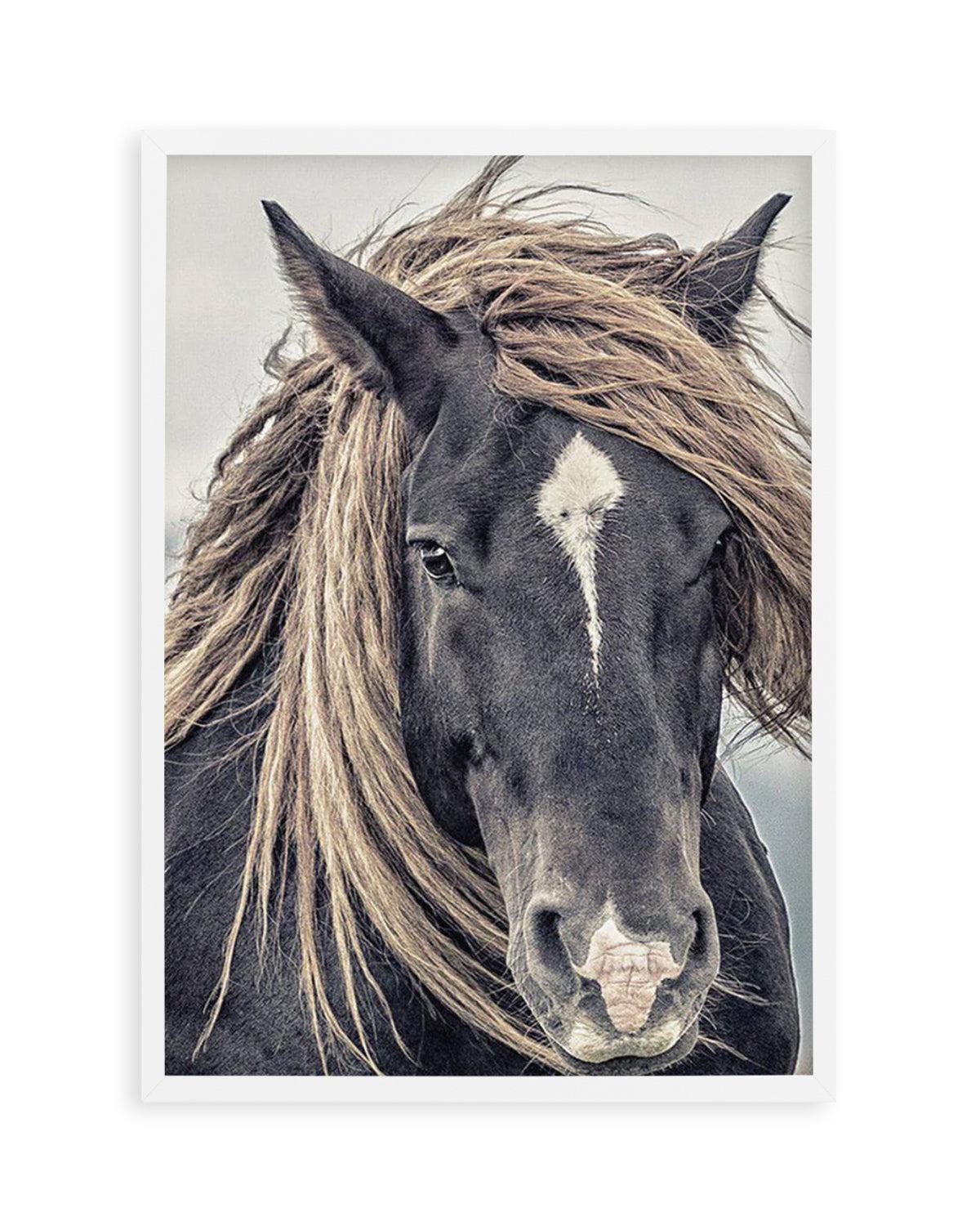 Island Horse II Art Print