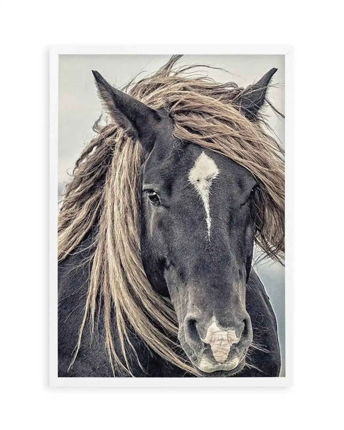 Island Horse II Art Print from Olive et Oriel where you can shop wallpaper and artworks online