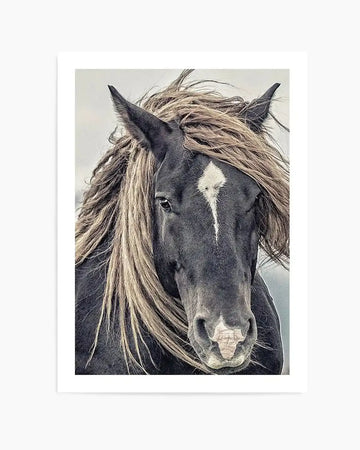 Framed black and white photograph of a horse's head with a dark coat and a white blaze, printed on fine art paper and displayed in a white frame. The horse has a long, flowing mane in shades of brown and blonde, and its ears are pricked forward. Its eyes are dark and expressive, and its muzzle has a light pinkish hue. The background is a soft, light grey sky.
