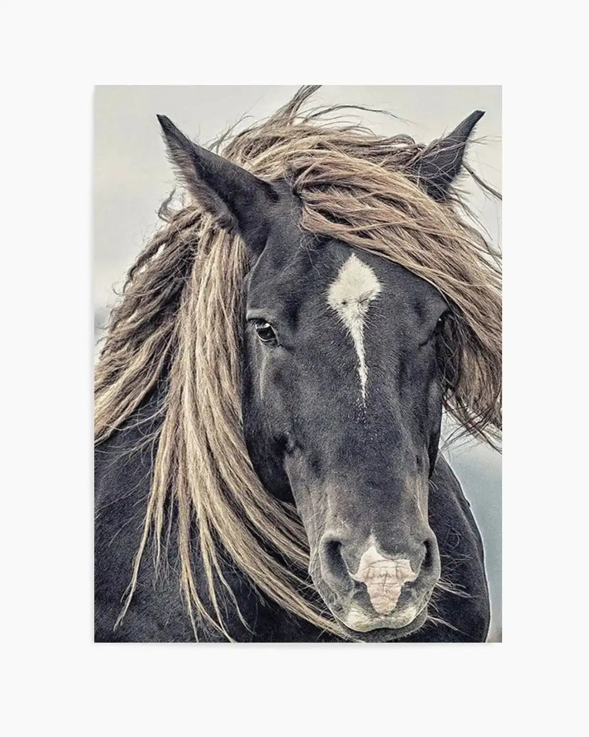 Island Horse II Art Print from Olive et Oriel where you can shop wallpaper and artworks online