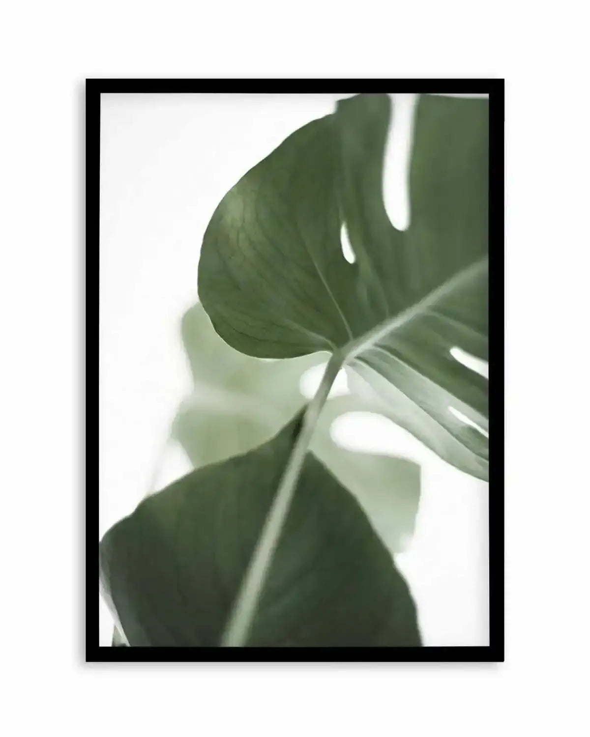 Island Luxe I | Monstera Art Print from Olive et Oriel where you can shop wallpaper and artworks online