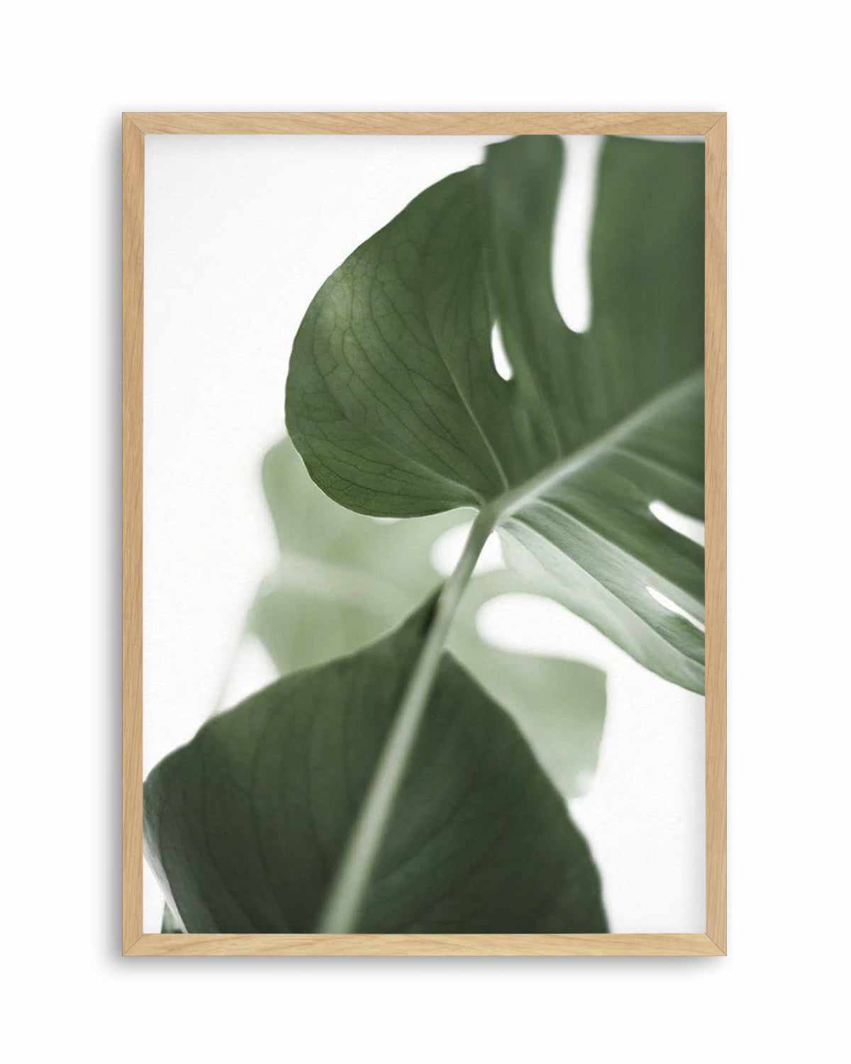 Island Luxe I | Monstera Art Print