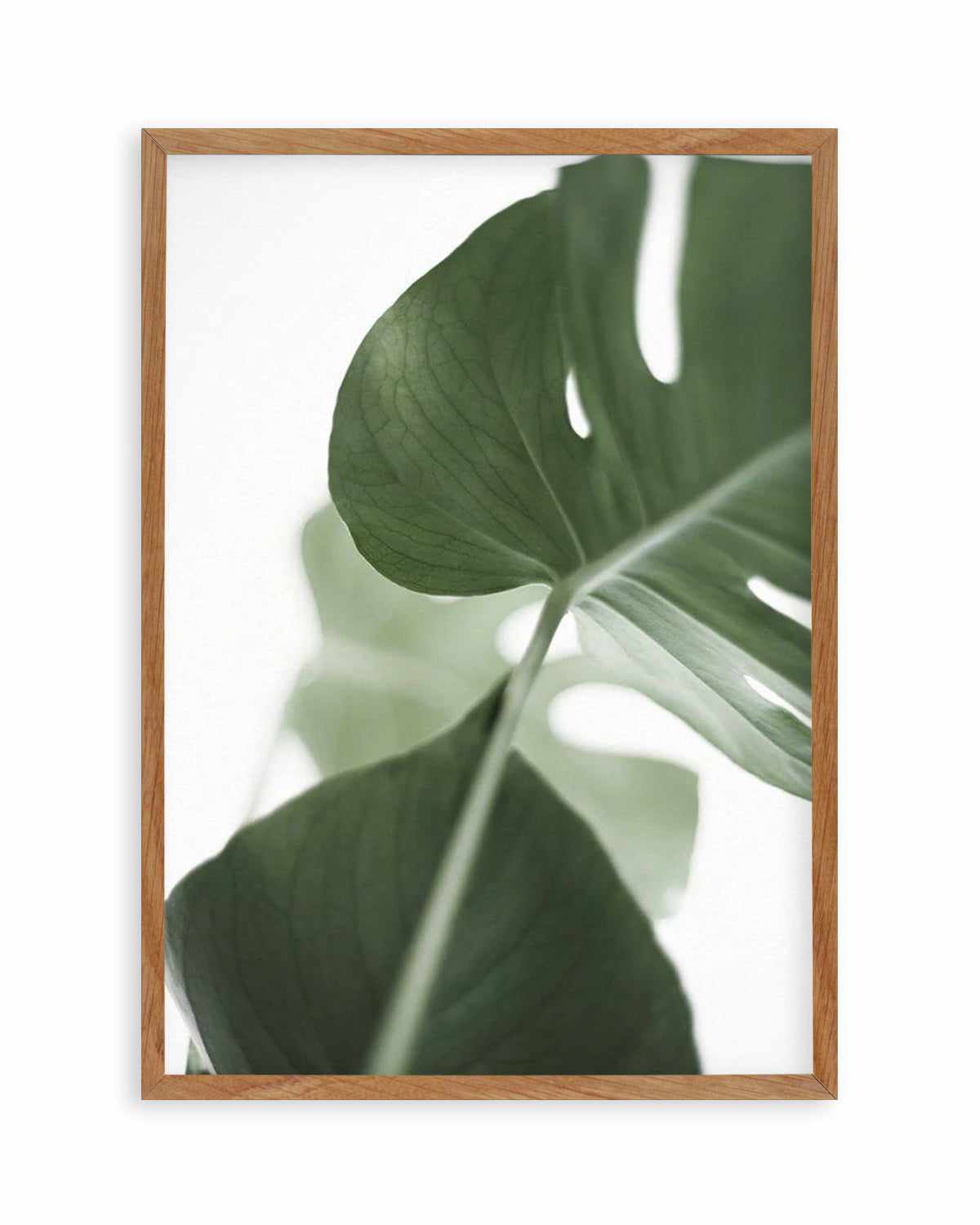 Island Luxe I | Monstera Art Print