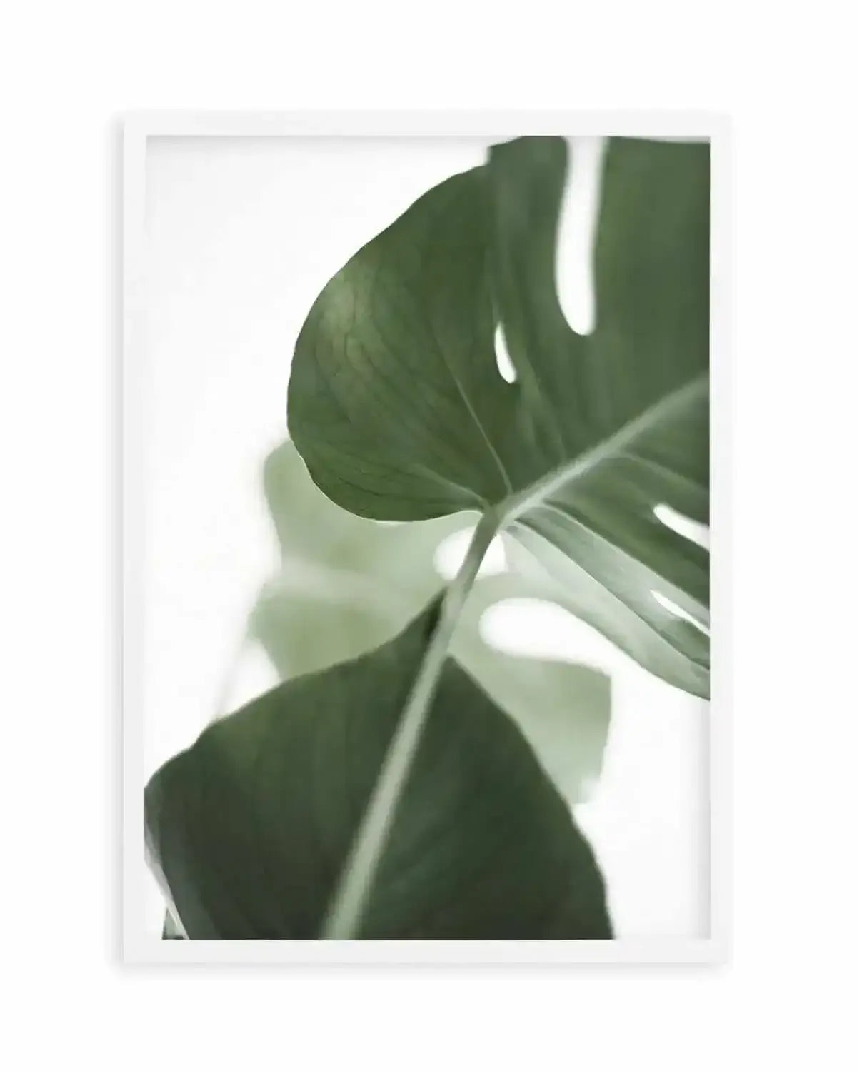 Island Luxe I | Monstera Art Print from Olive et Oriel where you can shop wallpaper and artworks online