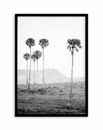 Island Luxe IV | The Lost Palms   Art Print